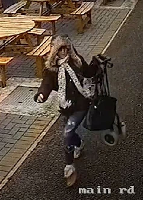 Woman Attacks Pensioner And Leaves Her On Ground After Stealing Handbag