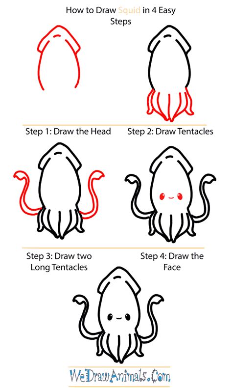 How To Draw A Cute Squid