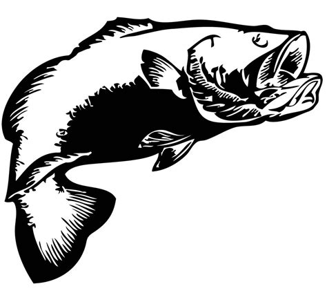 Smallmouth Bass Clip Art Wallpapers Gallery