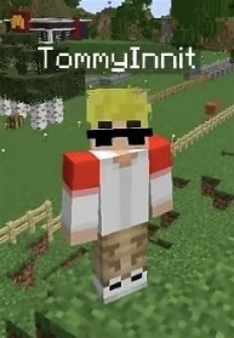 Tommyinnit In 2021 Minecraft Characters Minecraft Smp