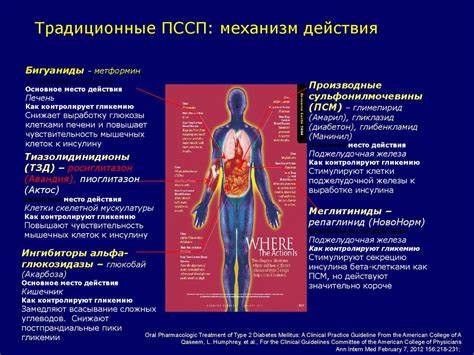 Диета сахарного диабета 1 Диета сахарного диабета 1