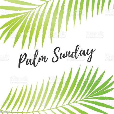 Download and use 5,000+ palm sunday stock photos for free. Palm Sunday Holiday Card Poster With Palm Leaves Border Frame Vector Background Stock Vector Art ...