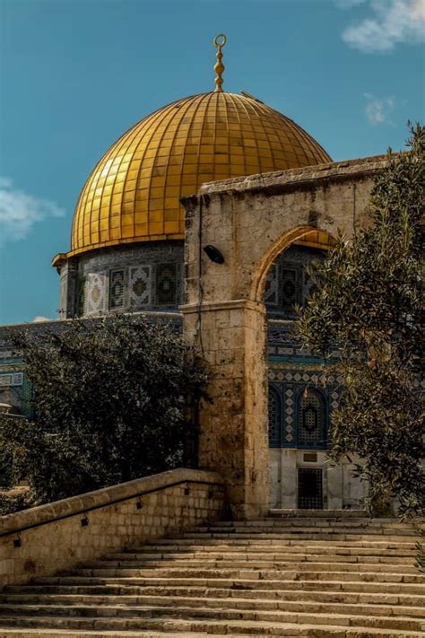 Here Is Why You Should Visit Palestine Now