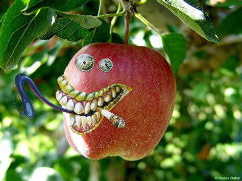 Crazy Apple Apple Fruit Hang Smoke Teeth Tongue Tree Hd