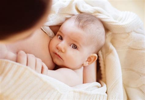 ۵ روش از شیر گرفتن کودک و بهترین زمان آن مجله سلامت حال