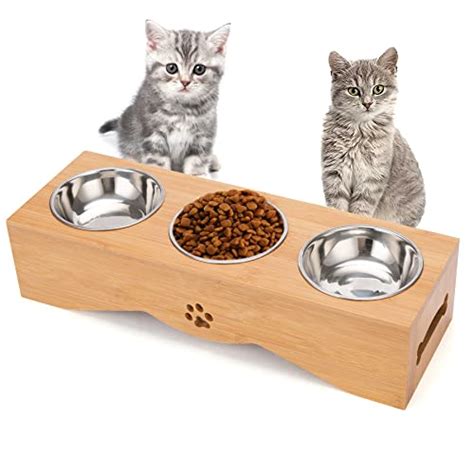 Top 9 Multiple Cat Feeding Stations Of 2022 Best Reviews Guide