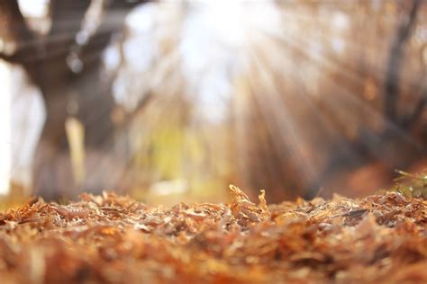 5 Amazing Autumn Landscapes 5 Csodálatos őszi Táj Megaport Media