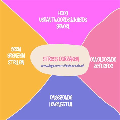 Stress En Hyperventilatie Heeft Veel Verschillende Oorzaken Dit Zijn