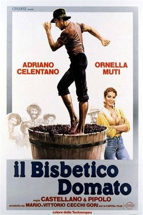 Bisbetico domato, taming of the scoundrel. Frasi del film Il bisbetico domato - Trama del film Il ...