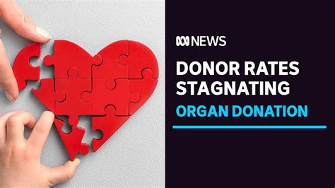 Details 80 About Organ Donations Australia Best Nec