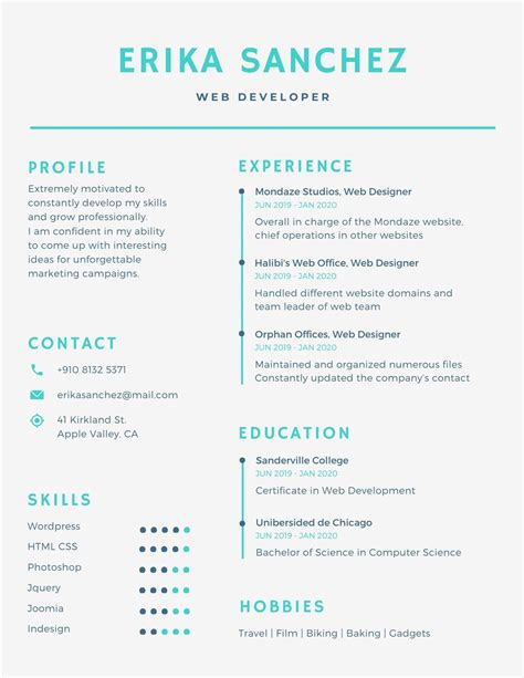 Infographic Resume Template Best Resume Templates 2021 Resume 2021