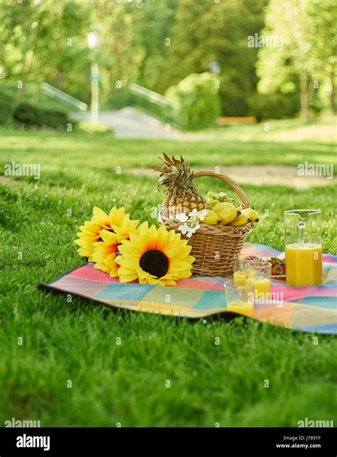 Still Life With Picnic Outdoors Stock Photo Alamy