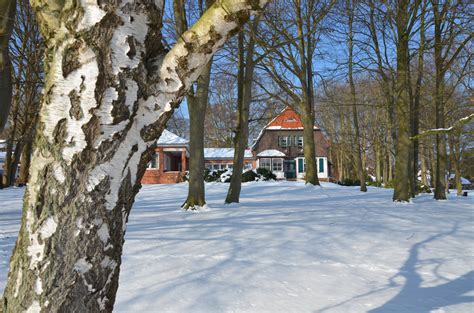 Gerhart johann robert hauptmann (* 15.november 1862 in ober salzbrunn in schlesien; Gerhart-Hauptmann-Haus im Winter Foto & Bild | deutschland ...