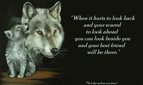 Wolves Photo Wolf Poems Wolf Pack Quotes Wolf Poem Lone Wolf Quotes