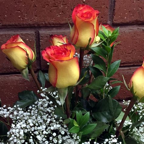 Ecuadorian High Magic Long Stem Fiery Roses Vase In San Diego Ca