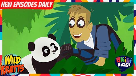 Wild Kratts Panda Power Akili Kids Youtube