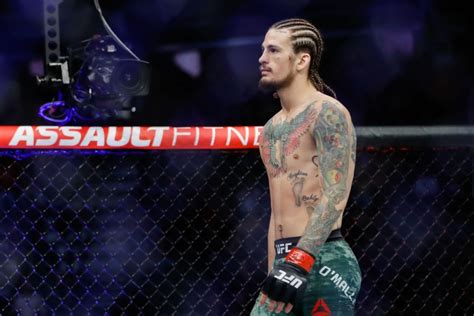 A colorful head of hair will enter the octagon along with o'malley! Sean O'Malley Bio, Net Worth, Married, Wife, Girlfriend ...