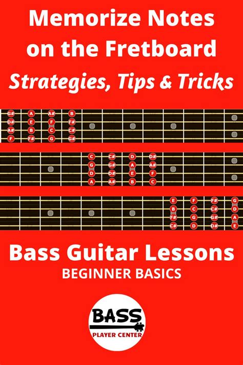 Memorize Notes On The Fretboard Strategies Tips Tricks Bass