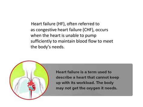 Solution Congestive Heart Failure Studypool