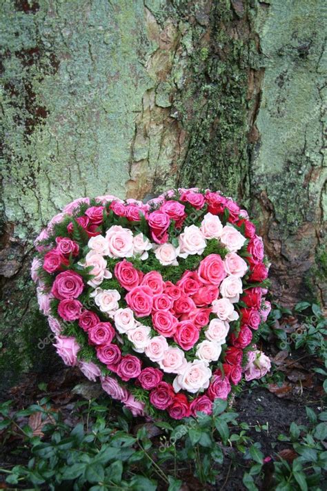 Heartshaped Flower Arrangement — Stock Photo © Portosabbia 5134913