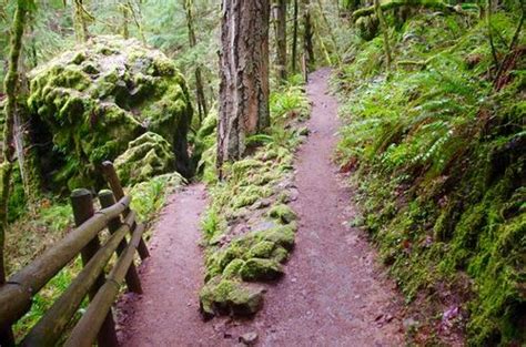 Fall Creek Falls Hike Hiking In Portland Oregon And Washington