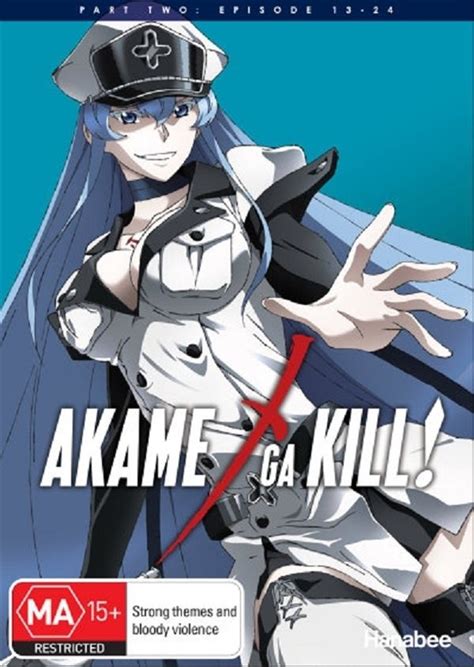 Buy Akame Ga Kill Part 2 On Dvd On Sale Now With Fast Shipping