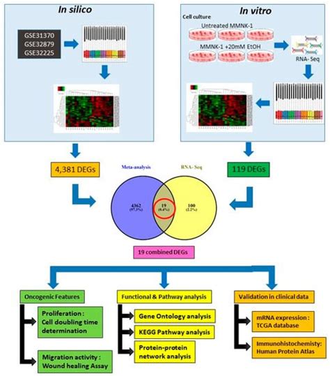 We did not find results for: Proteine Atlas Rat : A Mammalian Microrna Expression Atlas ...