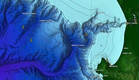 Sea Floor Map Hawaii | Review Home Co
