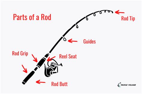 Parts Of A Fishing Rod Tip Butt Grips And Guides Explained