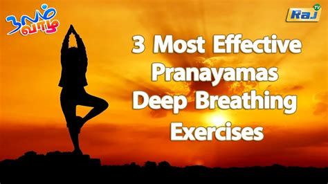 நலம் வாழ 3 Most Effective Pranayamas Deep Breathing Exercises