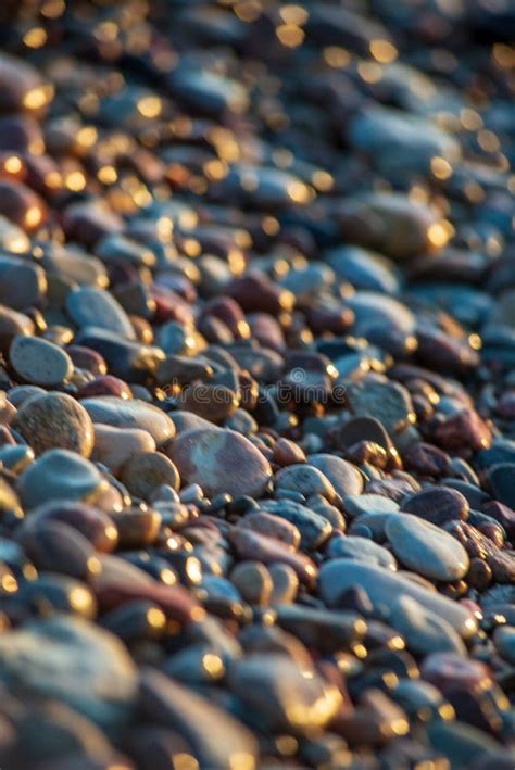 Abstract Details Of Rocky Beach Pebbles In Sunset By The Sea Stock