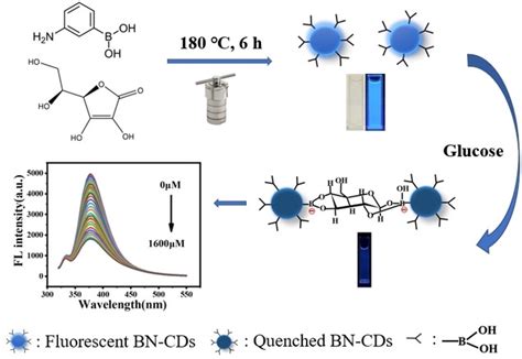 One‐step Hydrothermal Synthesis Of Boric Acid‐functionalized Carbon