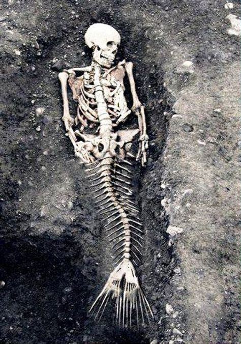 Mermaid Skeleton — Please Be Real Oh My Frickity Frack Diddly Dack I
