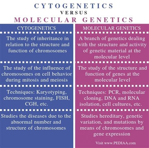 What Is The Difference Between Cytogenetics And Molecular Genetics My
