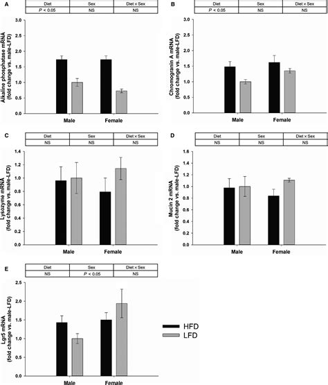 Sex Differences Influence Intestinal Epithelial Stem Cell Proliferation