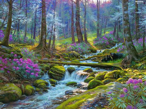 Flowers Stones River Stream Forest Beautiful Views Wallpapers
