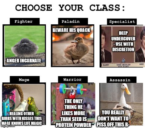 Choose Your Fighter Memes