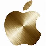 Apple Icon Steel Deviantart