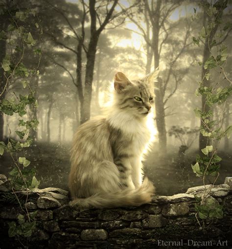 The White Cat Stocks Eternal Dream Art Flickr