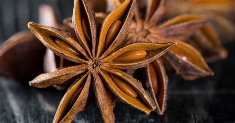 The brand also takes on a liking for local heritage and culture. 5 Best Star Anise Alternatives That Add Incredible Flavors ...