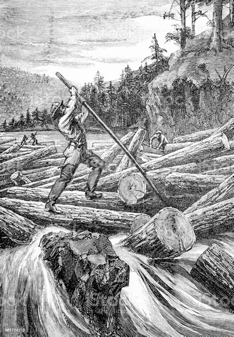 A Jam Of Logs Canadian Lumberjacks Log Jam Stock Illustration