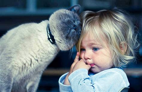 50 Adorable Photos Proving That Your Kids Need A Cat Bored Panda