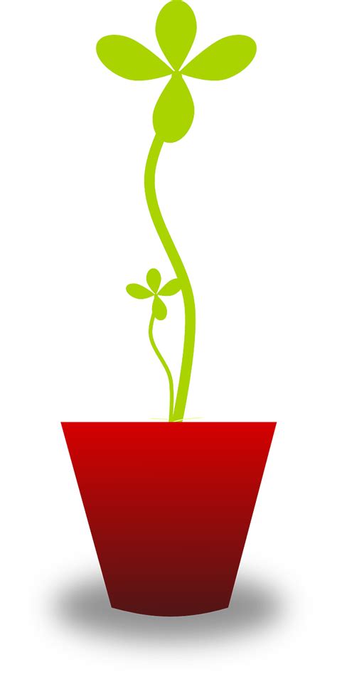 Plant Pot Tender Free Vector Graphic On Pixabay