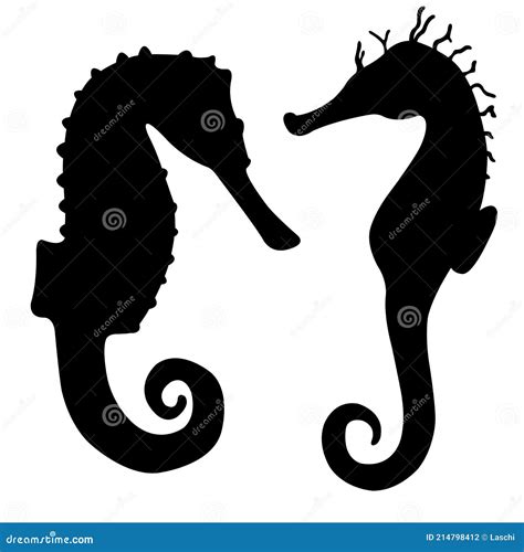 siluetas de caballito de mar negro sobre blanco ilustración del vector ilustración de caballo