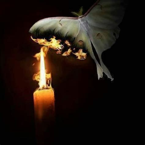 Image Result For Moth And Flame Candle Photography Dark Candles