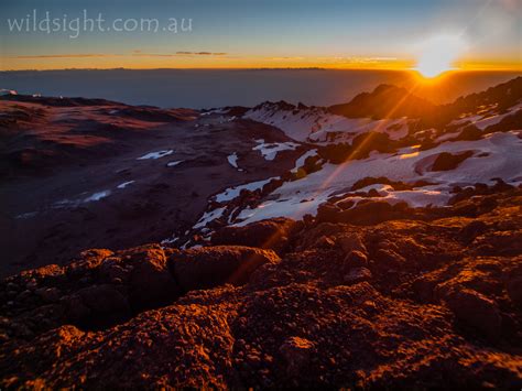 Sunrise From The Top Of Africa Wild Sight