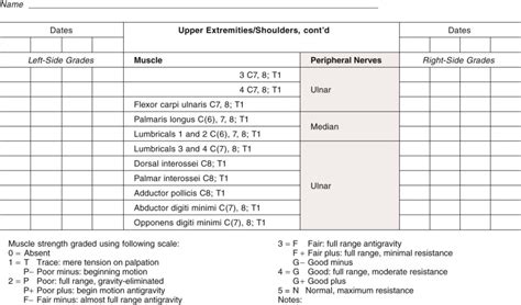 The Orthopaedic Examination A Comprehensive Overview Musculoskeletal Key