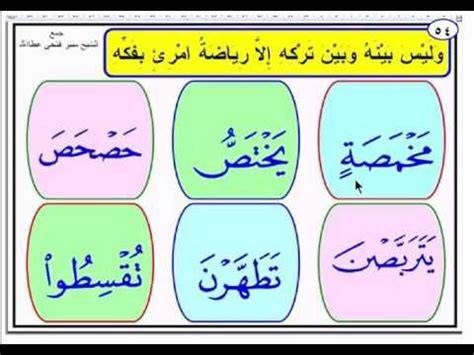 Check spelling or type a new query. تدريب على تخليص الحروف المرققة من المفخمة | Youtube, Photo ...