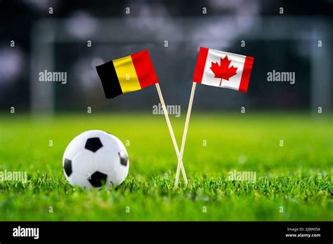 Belgium vs. Canada, Ahmad Bin Ali, Football match wallpaper, Handmade 