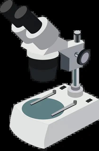 Types Of Microscopes For Use In Biology Research